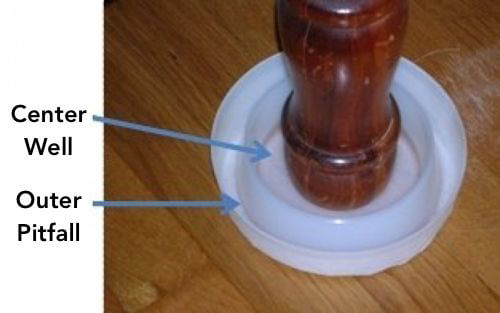 Use this trap to stop bed bugs from climbing into your bed.